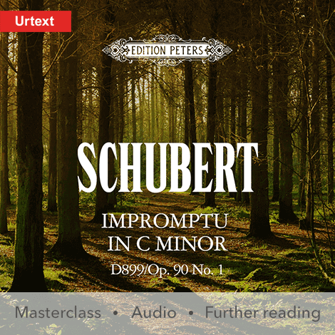 Cover - Impromptu in C minor D899/Op. 90 No. 1 - Franz Schubert